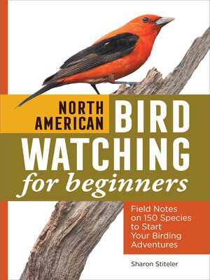 cover image of North American Bird Watching for Beginners